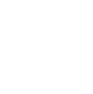 A1